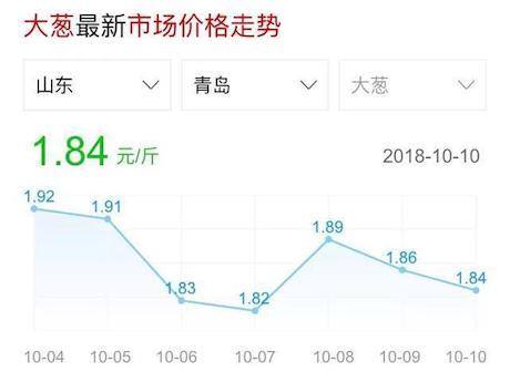 全国大葱最新价格走势分析，最新动态与市场趋势报告