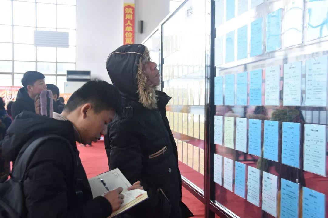 武义最新招工信息概览及招聘信息汇总