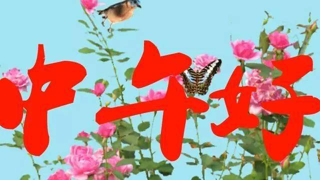中午好动态图片更新，最新动态表情问候