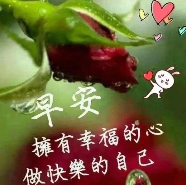 微信最新版本的变革，同步用户生活的每一步脚印