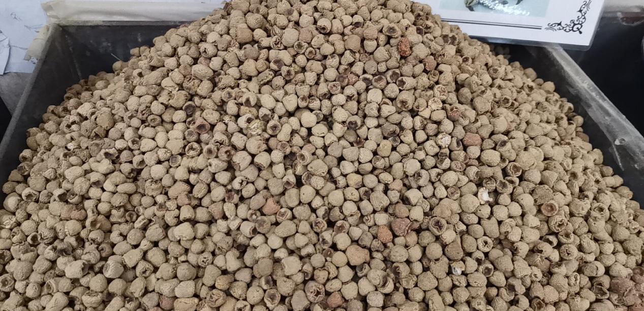 浙江覆盆子最新价格，小巷深处的宝藏，味蕾与自然的惊喜奇遇