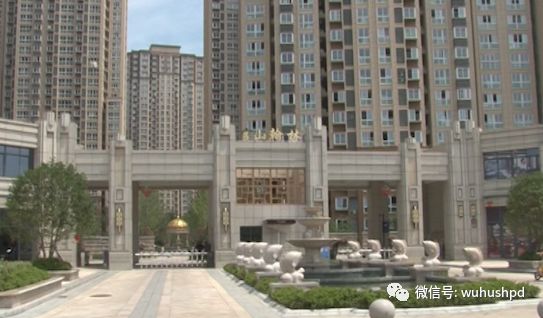 官山翰林最新动态，自然美景的探索之旅