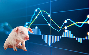 广东今日生猪最新行情，新鲜出炉的价格信息！