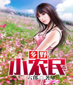 村野小农民最新更新，自然美景的轻松探索之旅