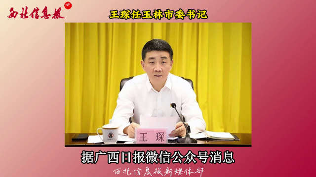 玉林市最新公示任免，科技革新引领智能生活新纪元！