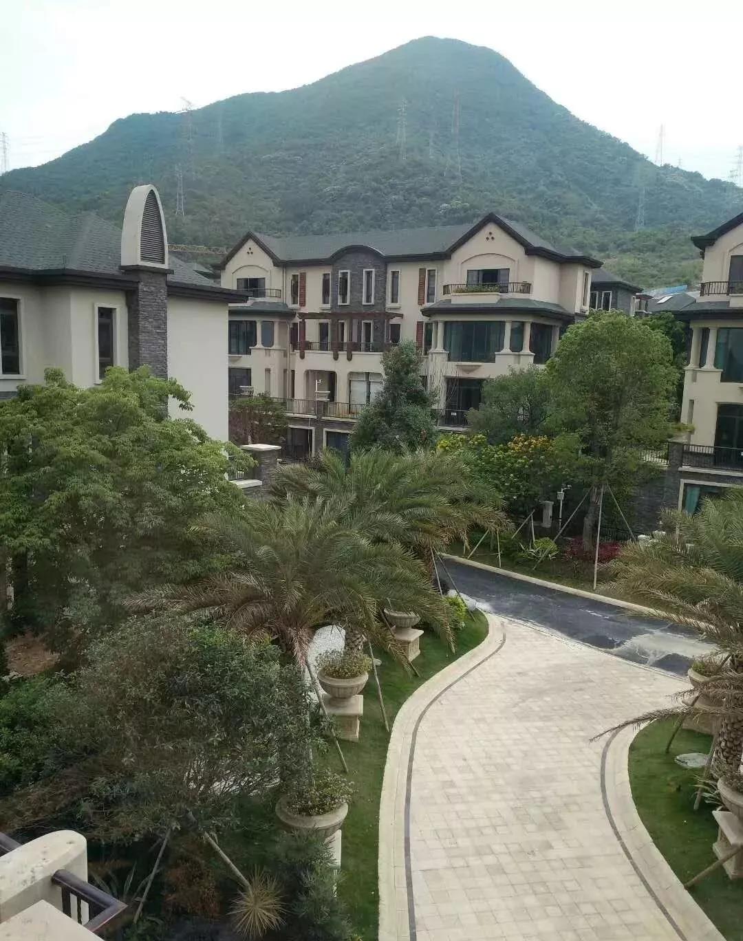 影迷俱乐部最新地址揭秘，影视盛宴的聚集地探寻