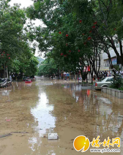 榆林水灾最新消息及应对步骤指南
