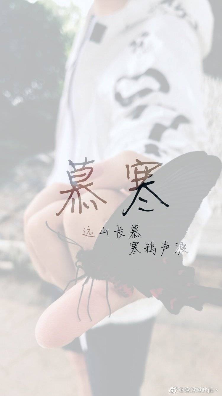 慕寒最新小说及其阅读与学习指南