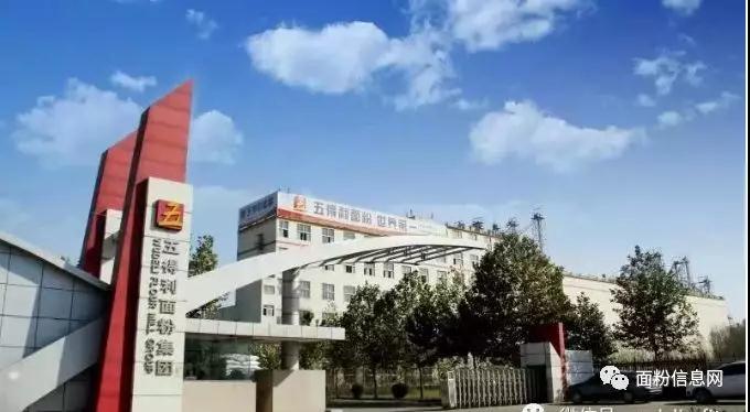 柏乡五得利最新招工信息，开启职业新篇章的大门