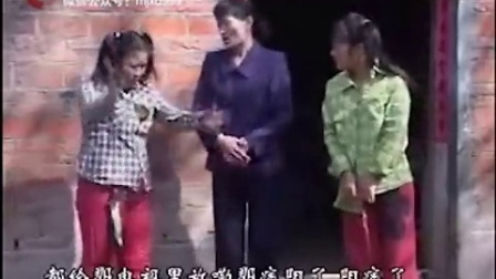 安徽民间小调全集，科技与传统音乐的和谐融合