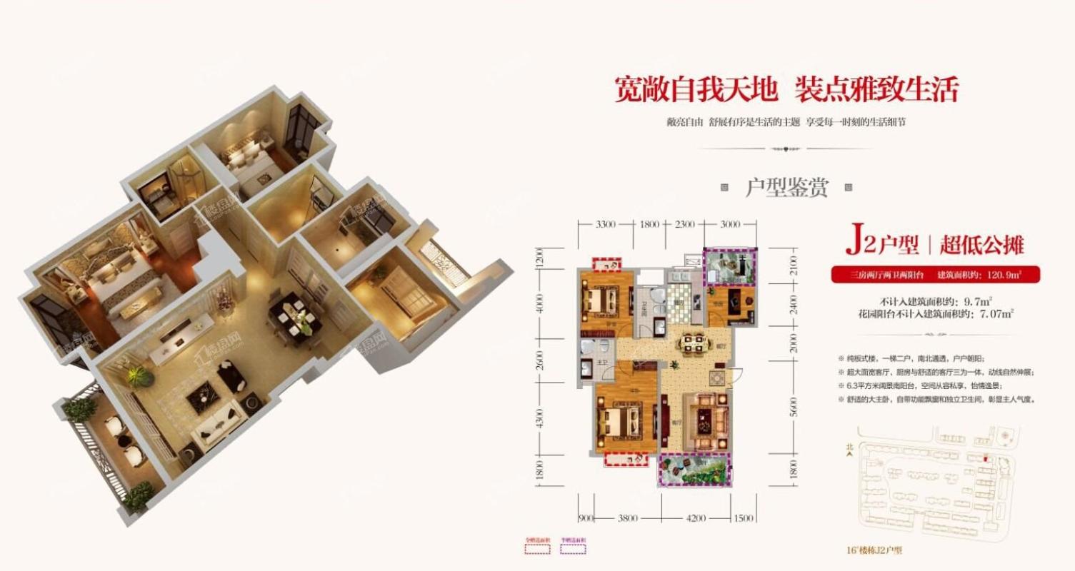 沅陵君临天下最新动态揭秘
