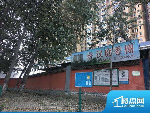 汉庭香榭最新动态揭秘，花开盛景，精彩不断！