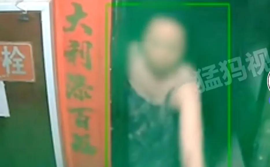 新时代领航者，村书记的乡村印记最新消息