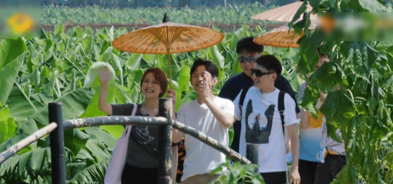 向往的生活4最新动态，揭开神秘面纱，探寻节目新动向